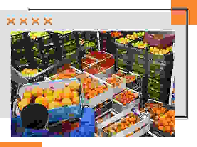 Перевозка скоропортящихся продуктов в Владимире